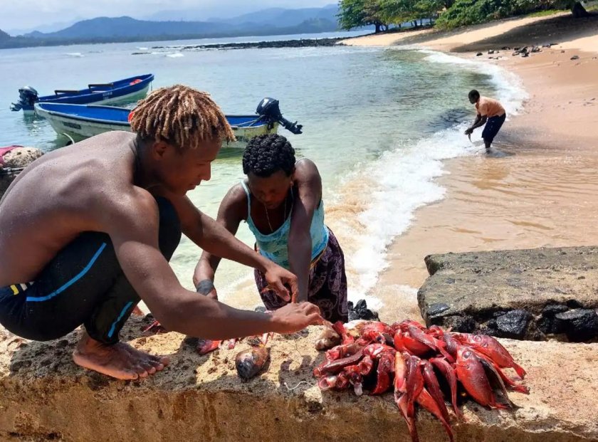 Негры на пляжеже