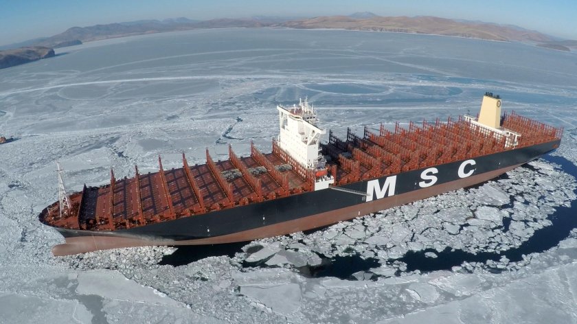 Контейнеровоз MSC
