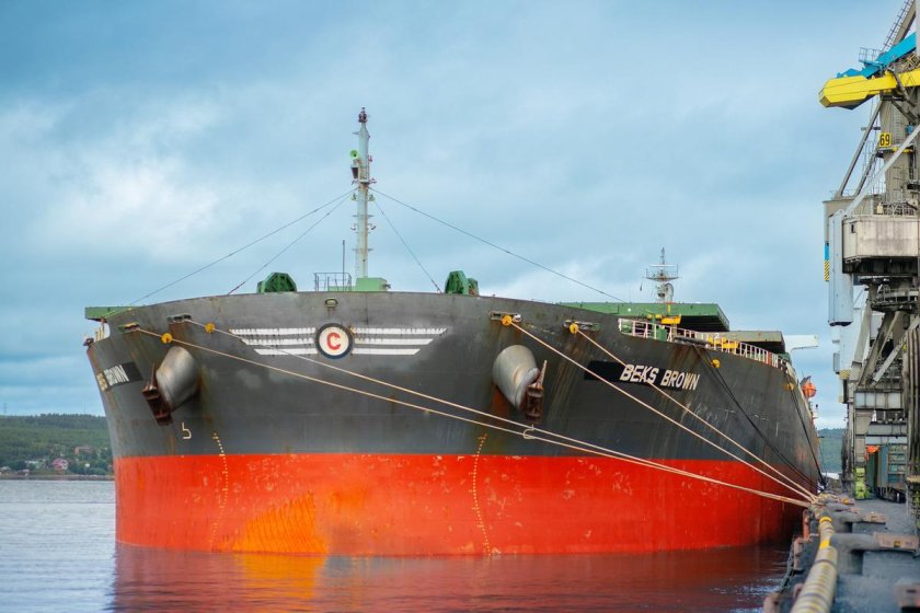 Самые большие сухогрузы