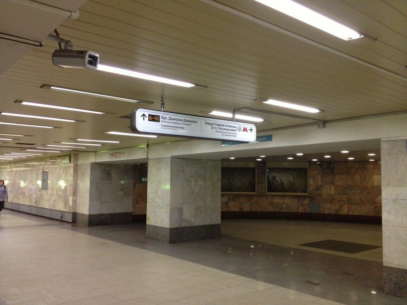 Станция метро бульвар Дмитрия Донского