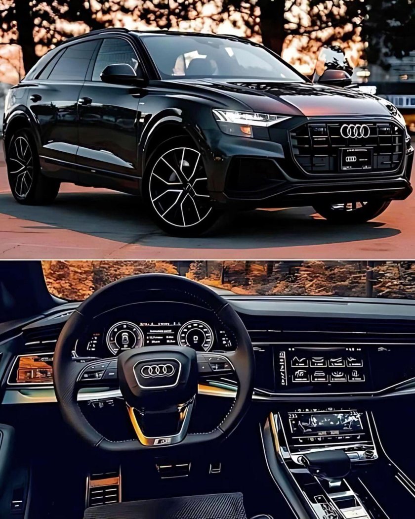 Салон ауди q 8