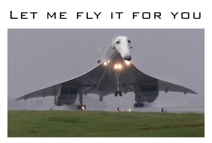 Конкорд Air France 4590