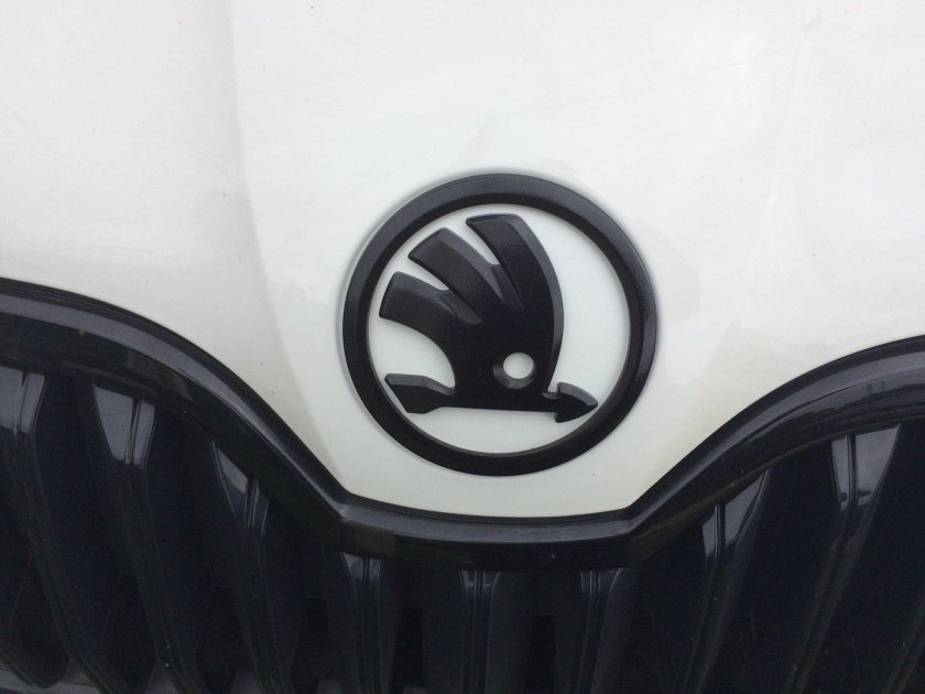 Октавия антихром