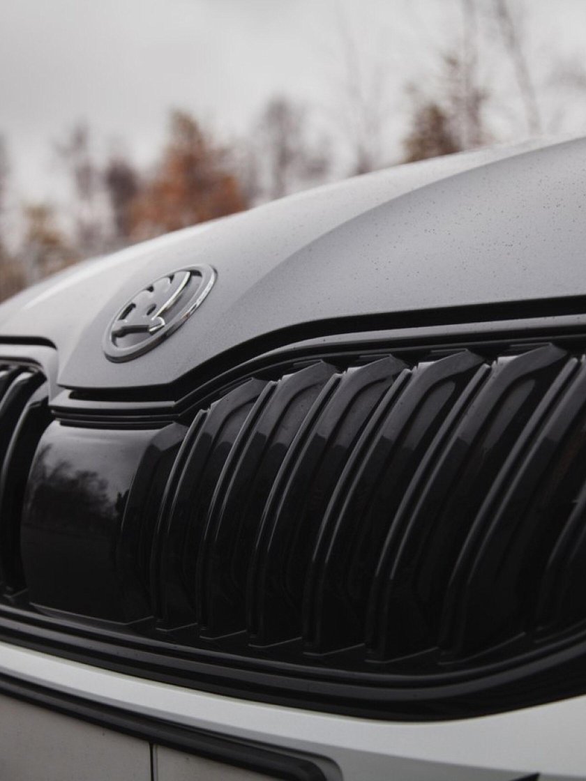 Skoda Superb антихром