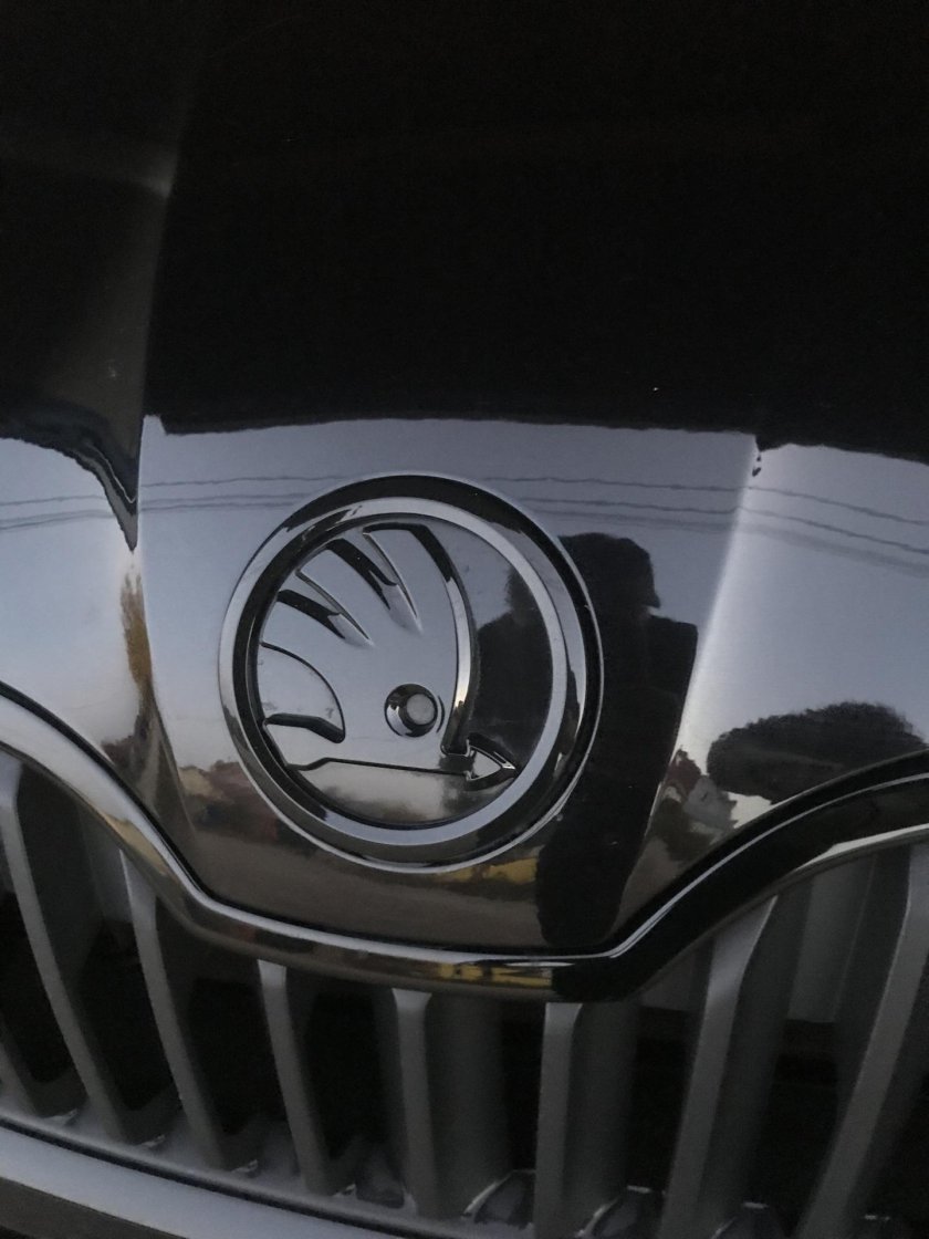 Значок Шкода антихром