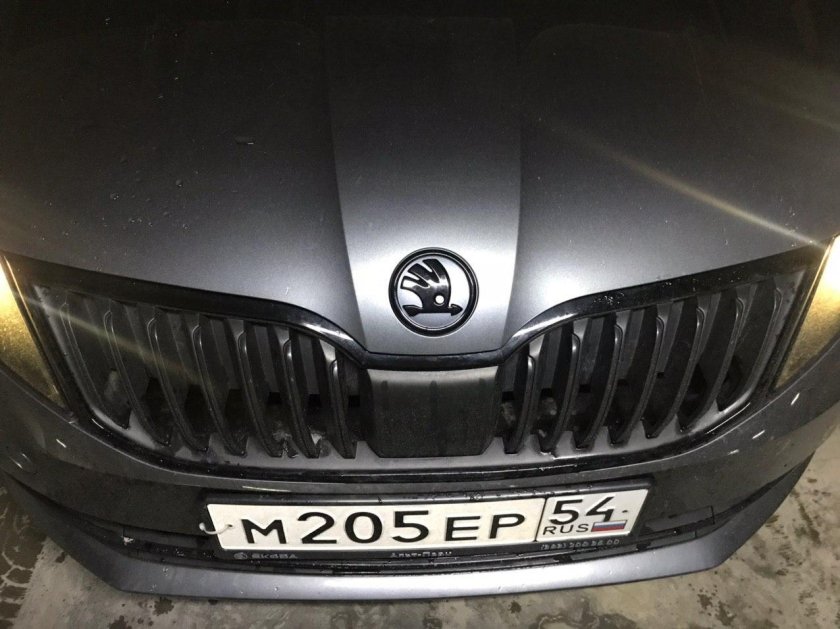 Octavia a7 антихром