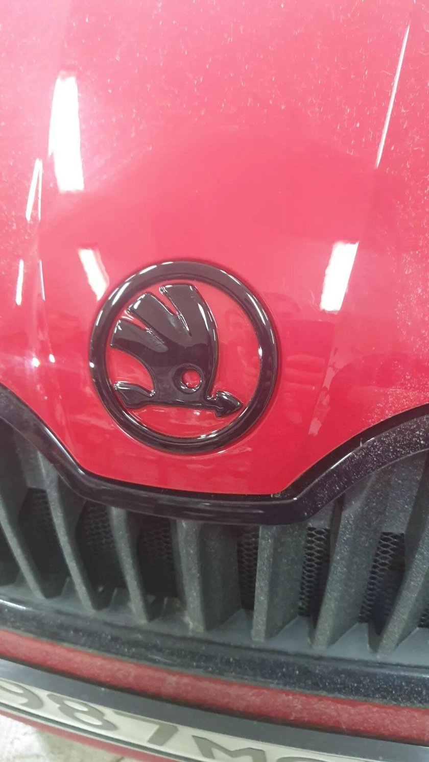 Шкода Рапид антихром