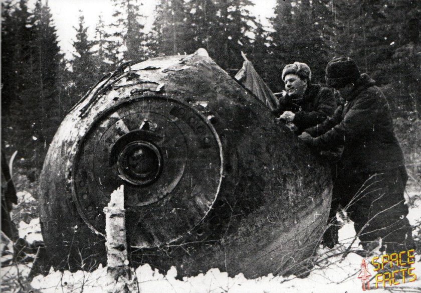 Леонов и Беляев приземлились в тайге