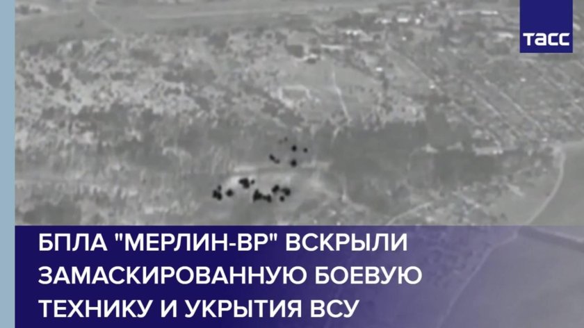 Бпла мерлин вр