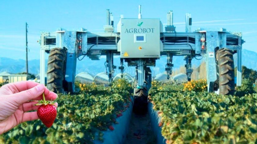 Агророботы в сельском хозяйстве