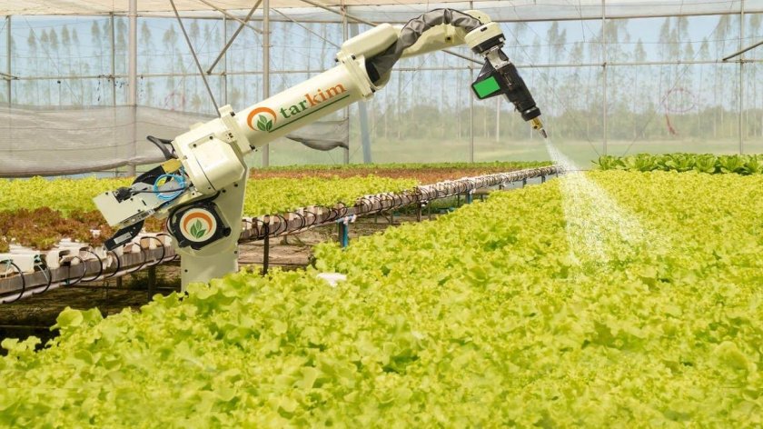 Искусственный интеллект в сельском хозяйстве