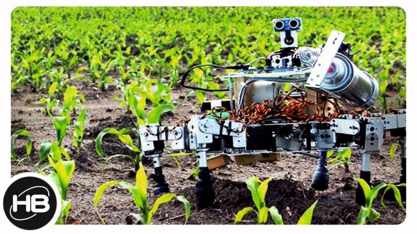 Роботы в сельском хозяйстве
