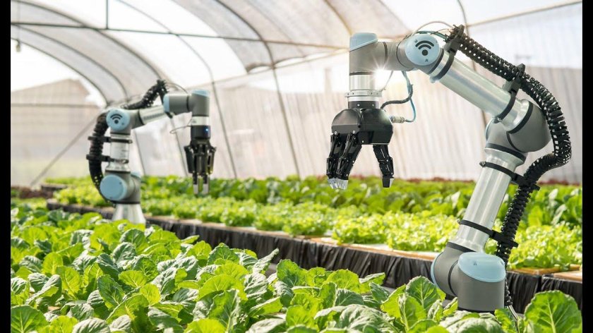 Робототехника в сельском хозяйстве