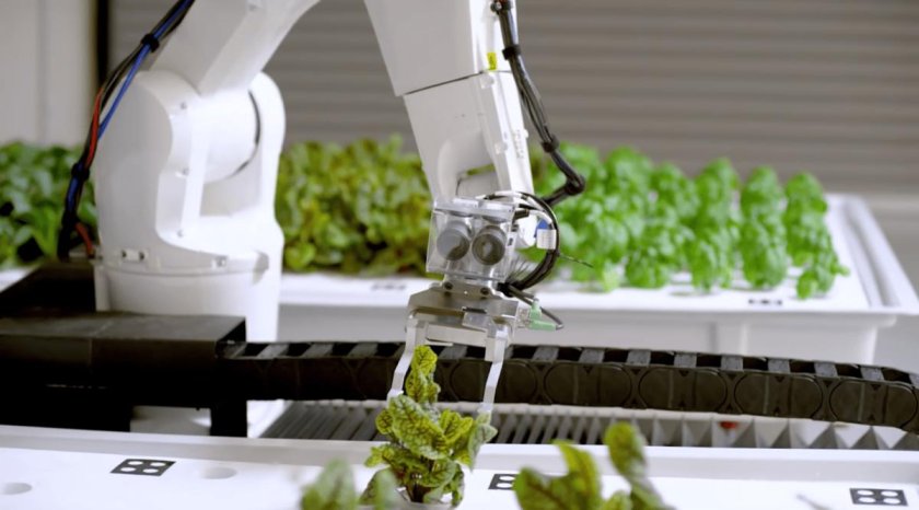 Роботизированная гидропонная ферма