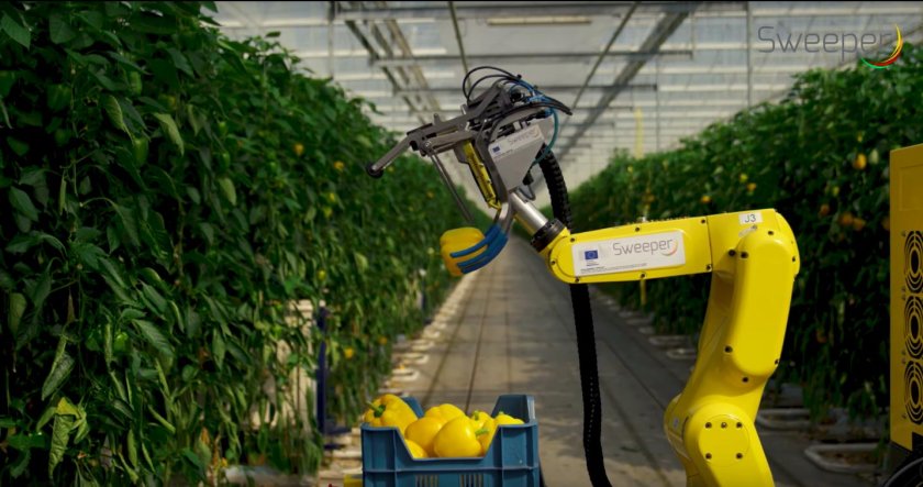 Робот Hortibot