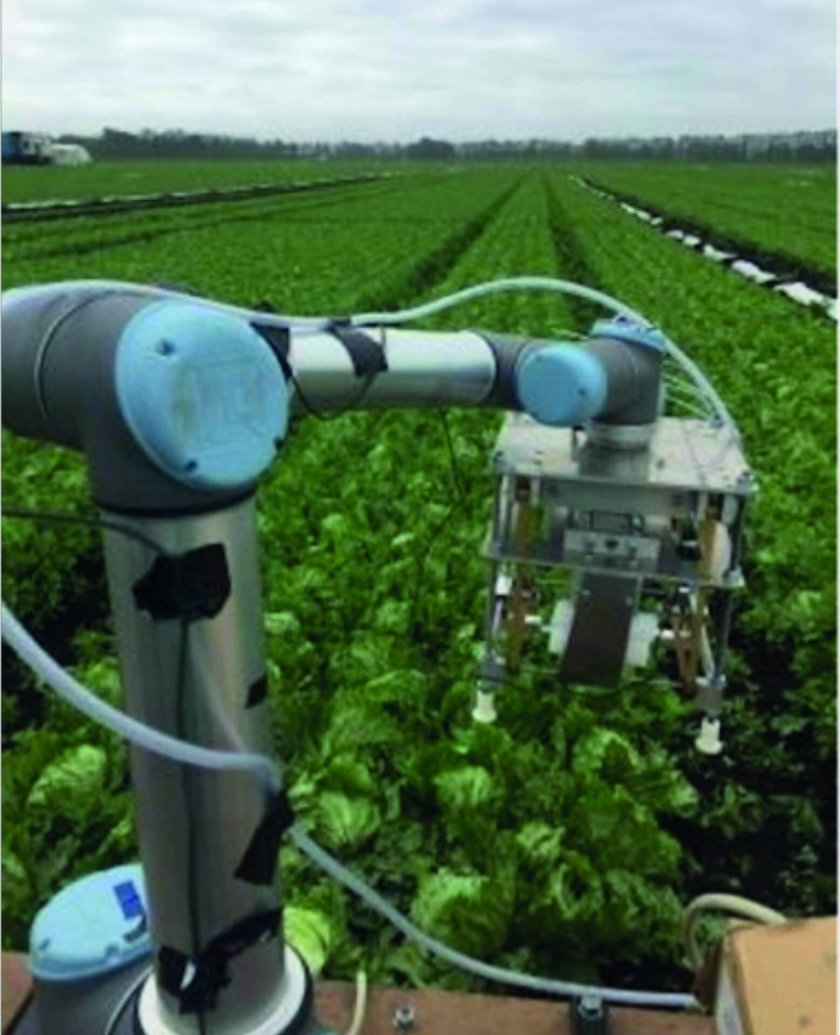 Роботы в сельском хозяйстве