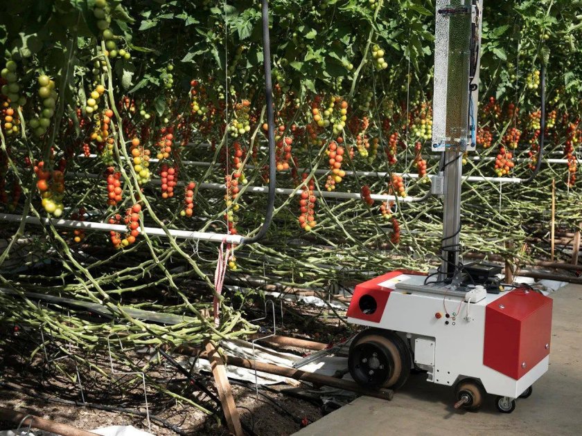 Роботизированные теплицы