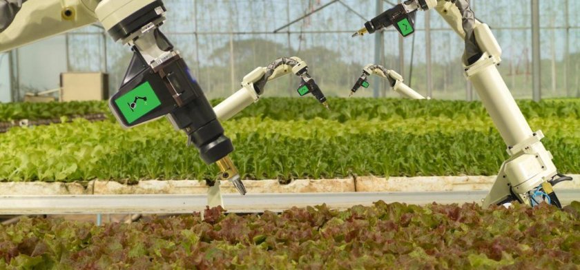 Роботы в сельском хозяйстве