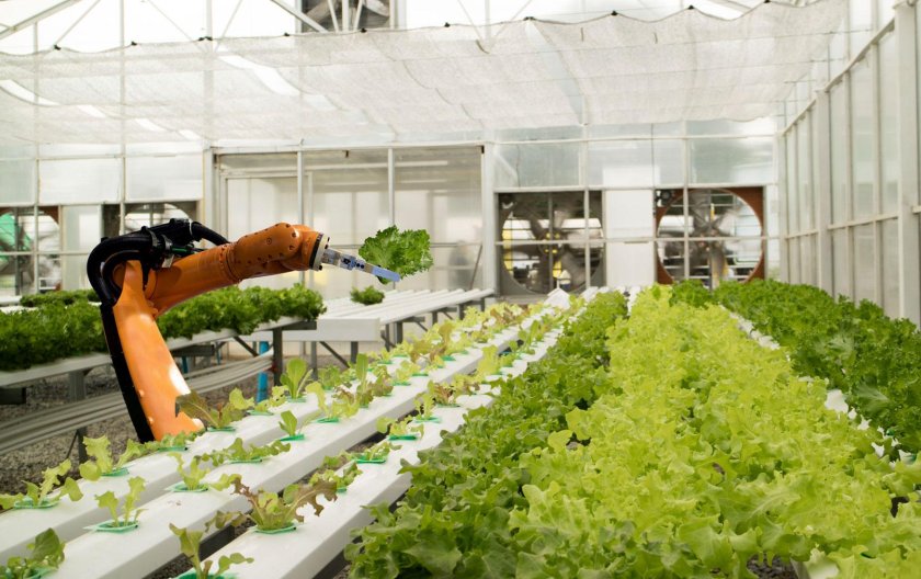 Роботизированные теплицы