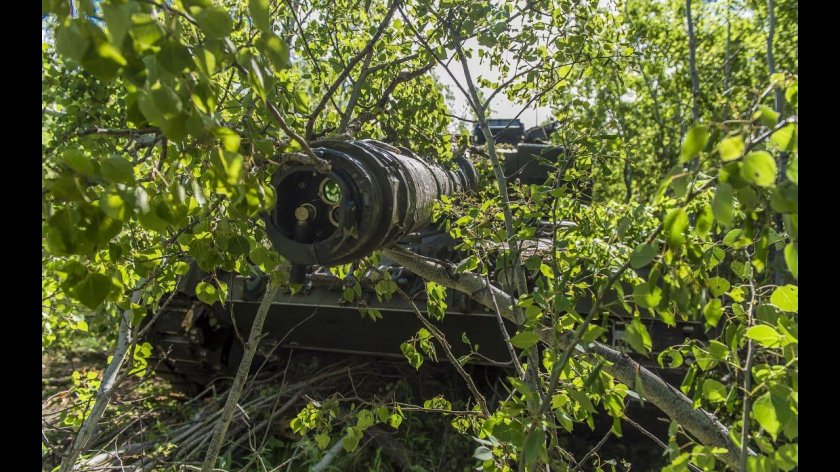 Танк в кустах