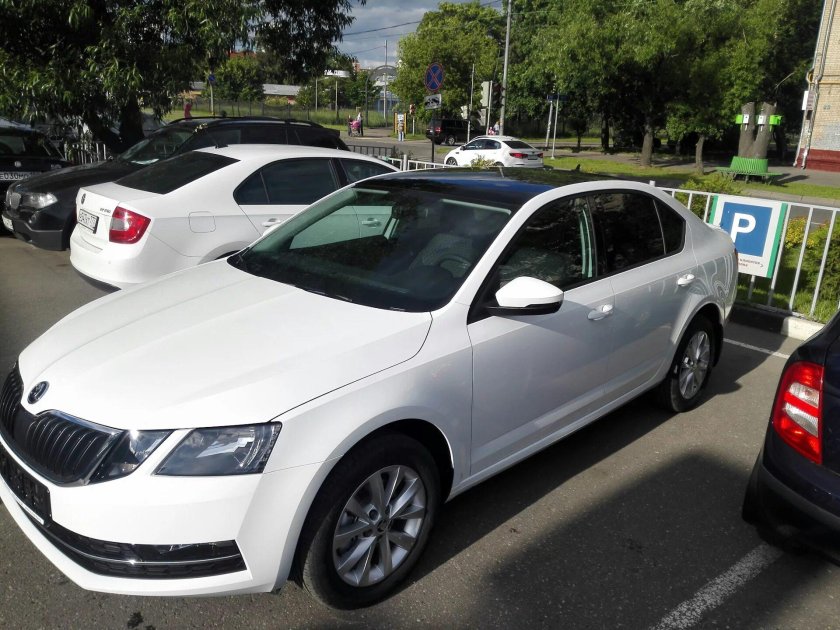 Шкода Октавия а7 белая с черной крышей