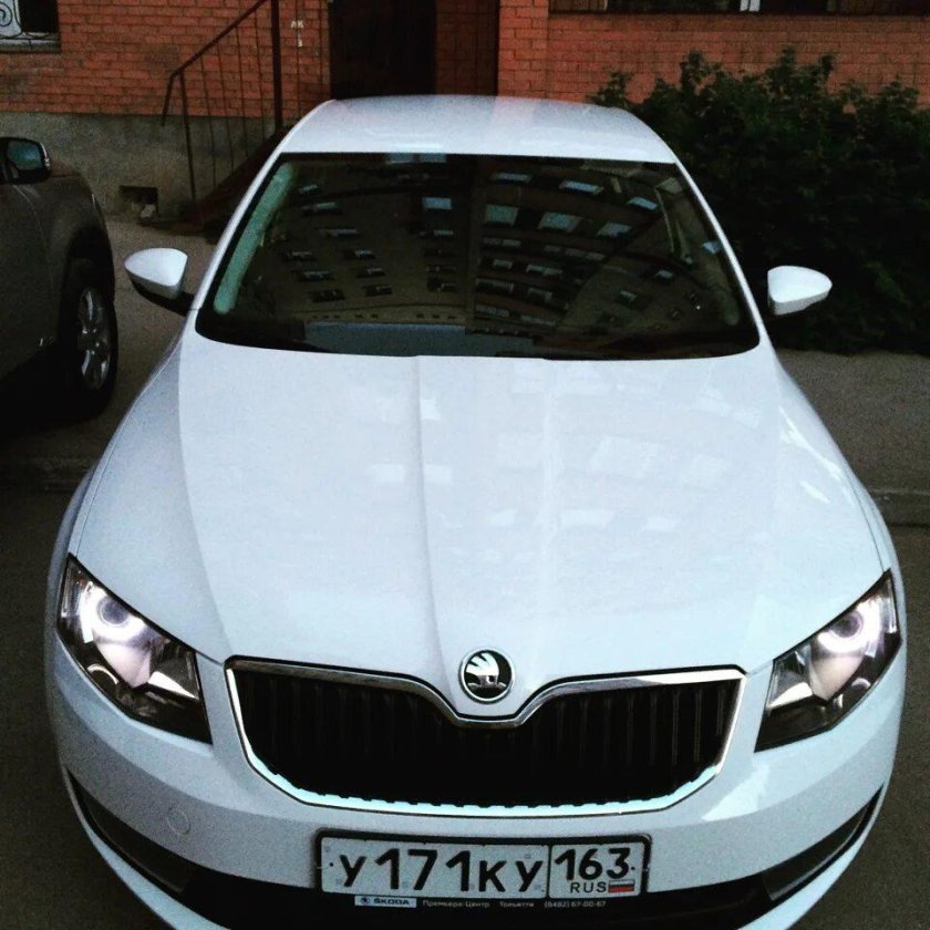 Шкода Октавия а7 белая с черной крышей
