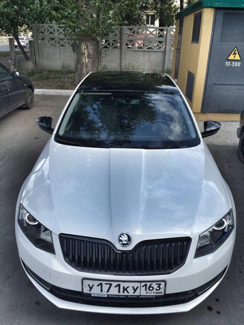 Шкода октавия а7 белая с черной крышей