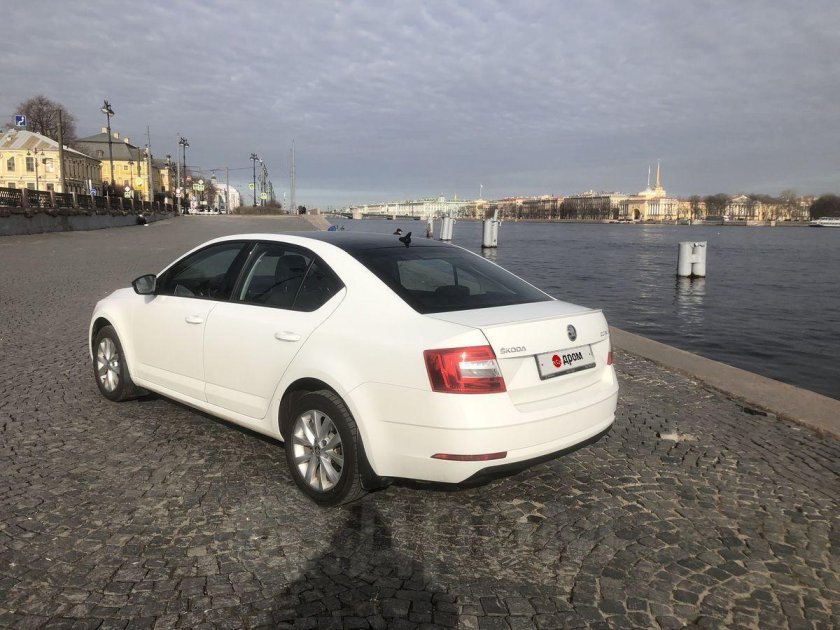Skoda octavia 2019