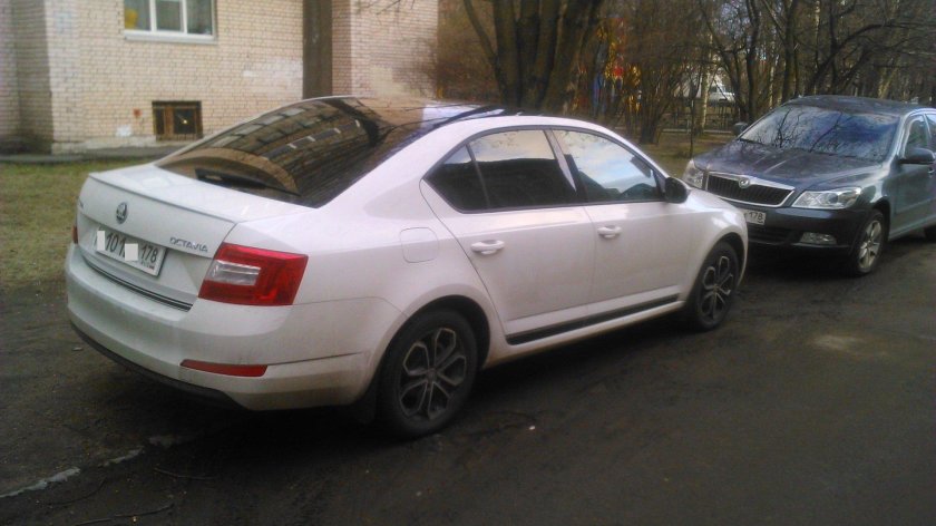 Шкода Октавия а7 черная крыша