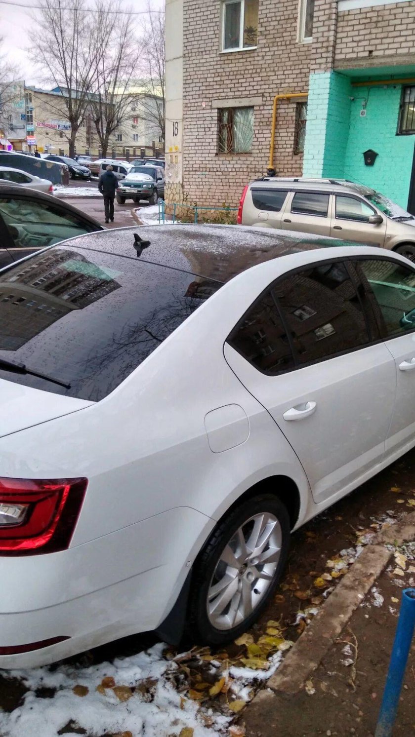 Octavia a7 тонировка 35