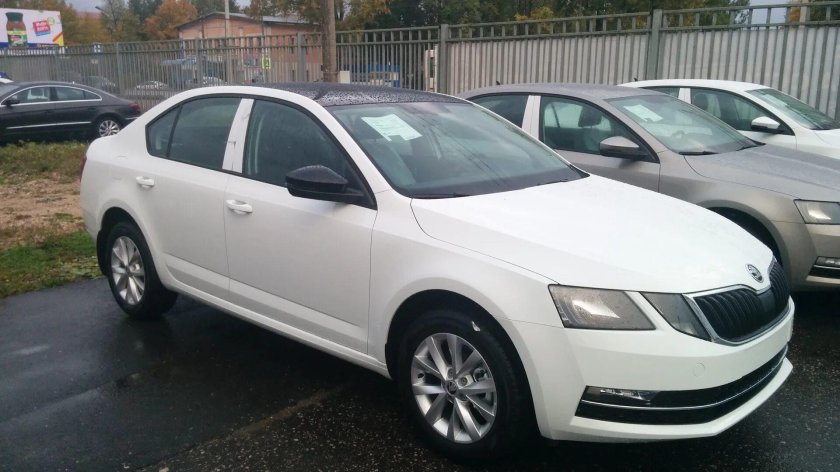 Шкода Октавия а7 белая с черной крышей