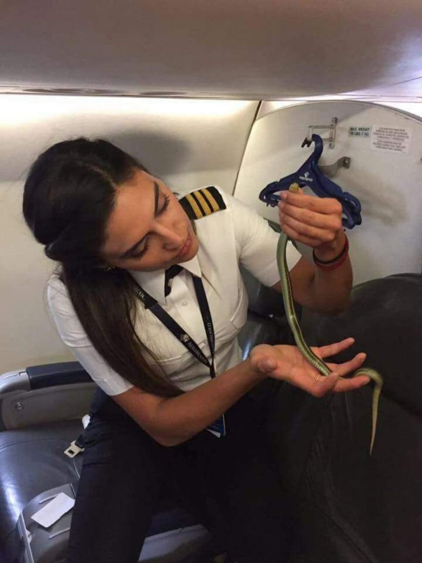 Борт самолета