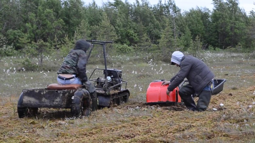 Мотобуксировщик волкодав по болоту