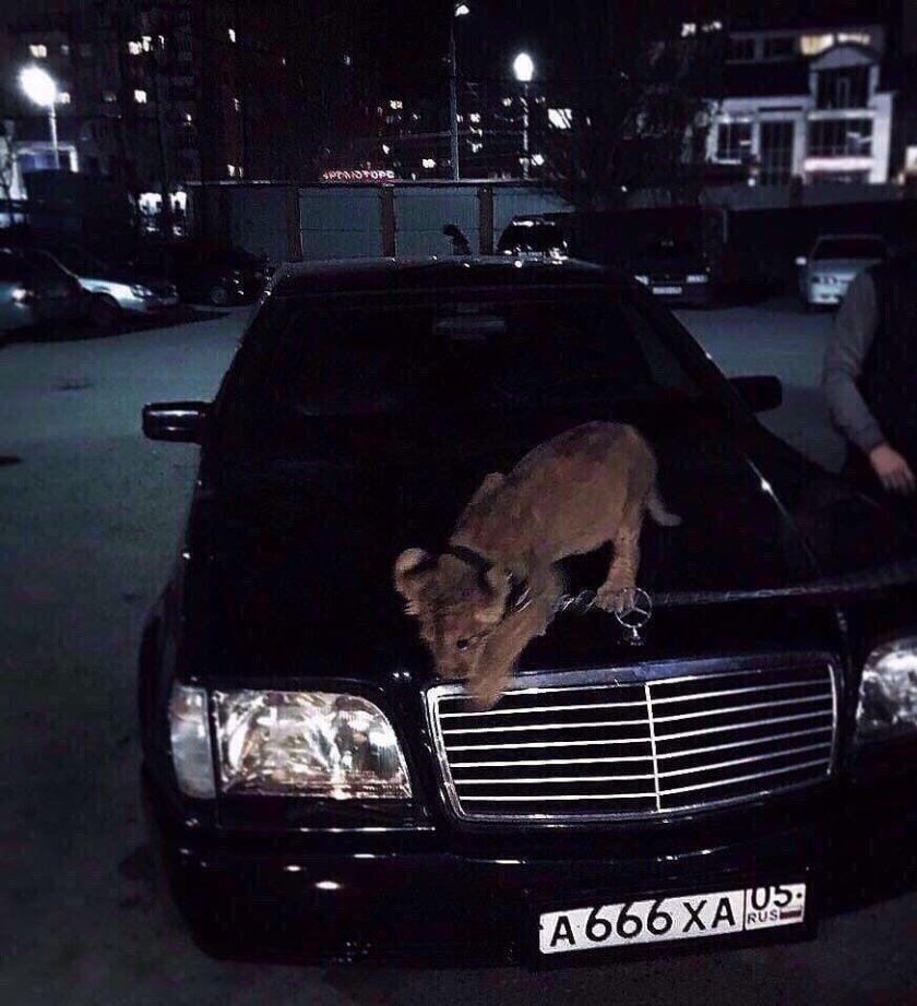 Мерседес-Бенц 140 кабан