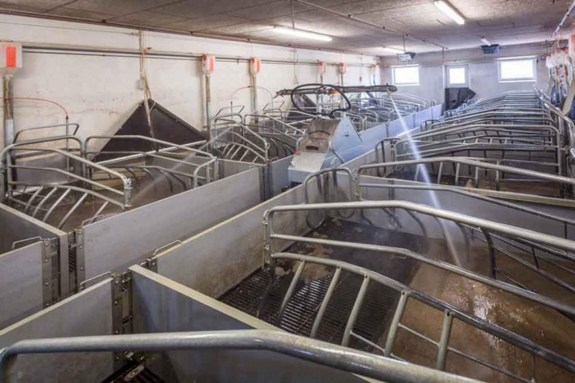 Мойщик на свинокомплексе