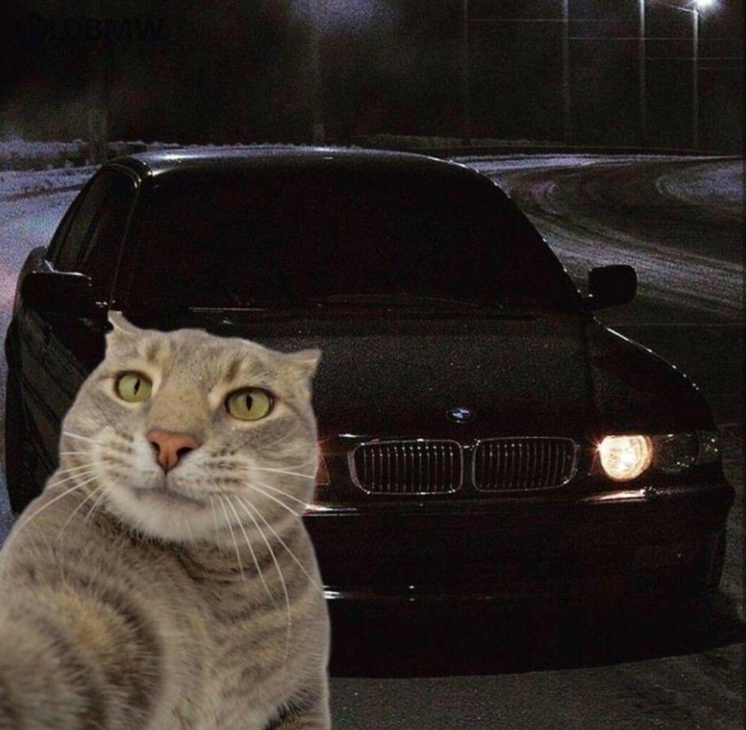 БМВ е38 черная тонированная