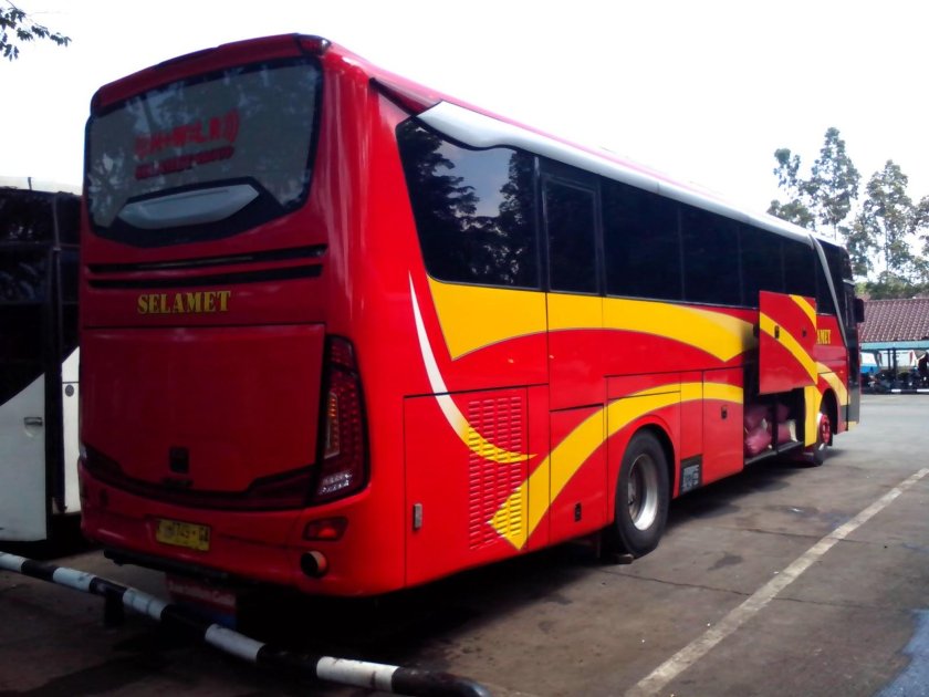 Автобус сетра 45