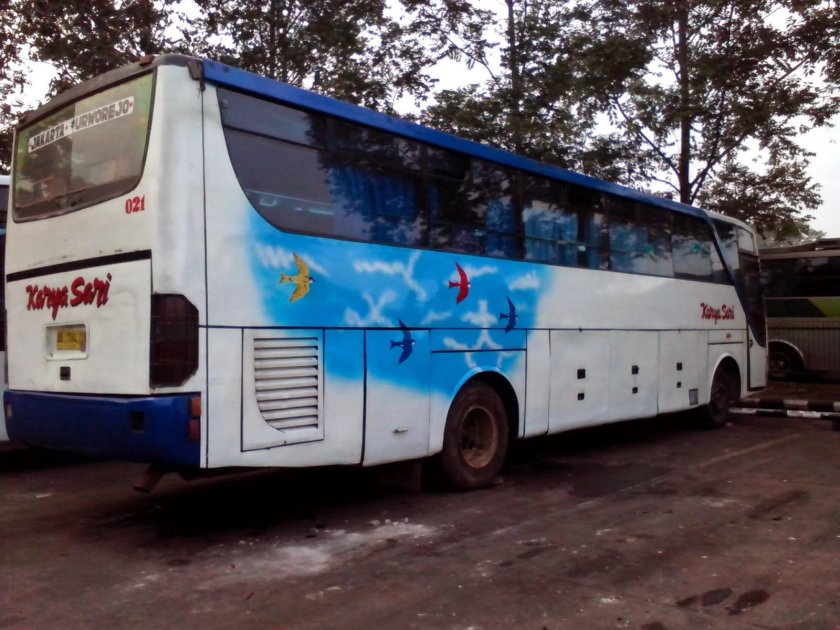 Автобус сетра 45