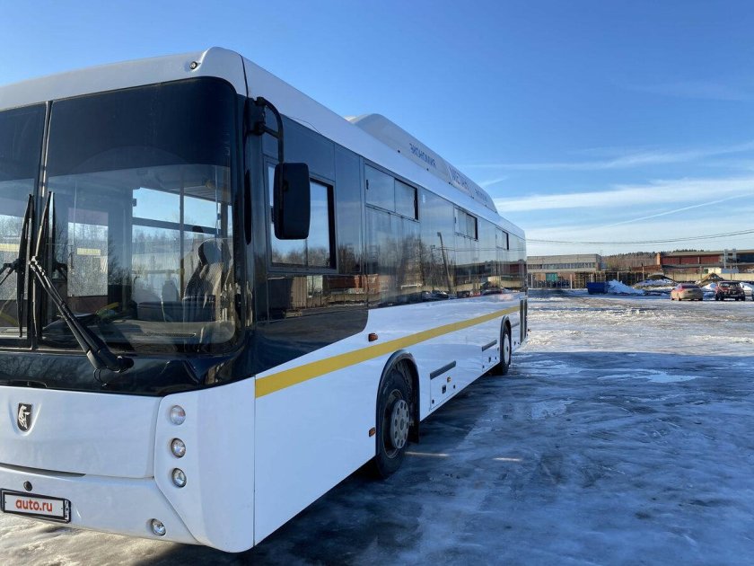 Новые автобусы нефаз