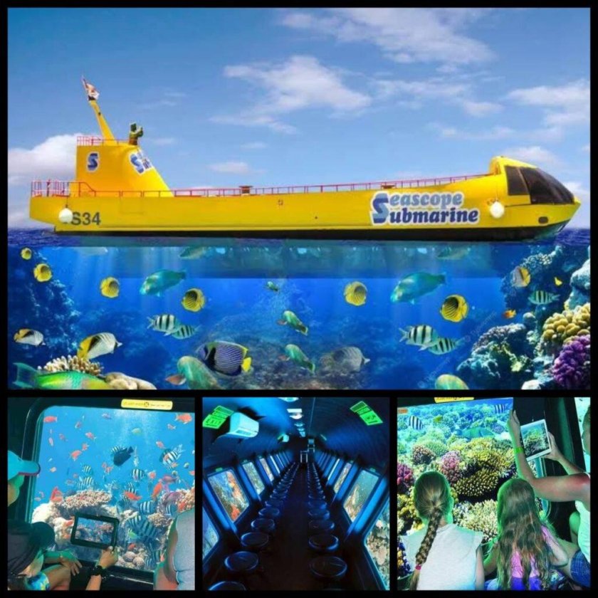 Батискаф шарм эль шейх экскурсия