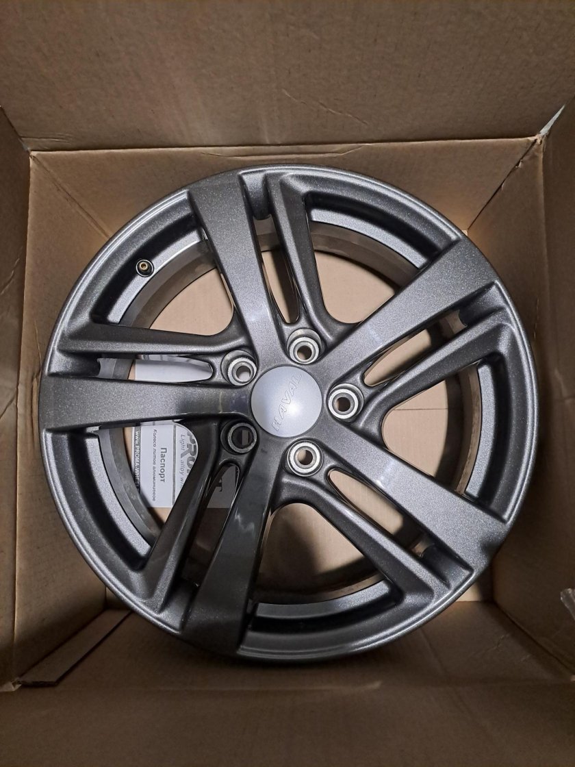 Тигуан на дисках Пассат