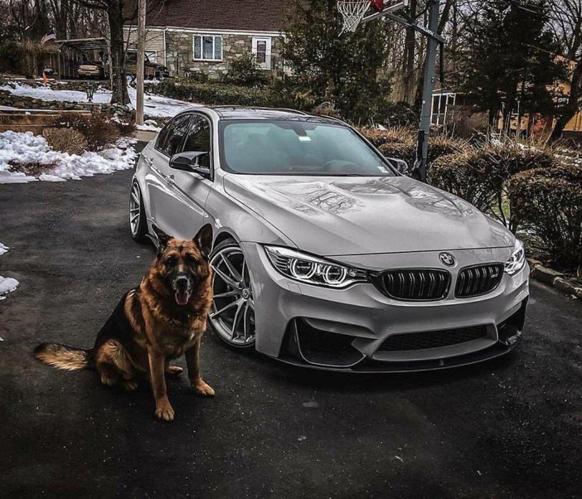 Bmw m 3 f 80