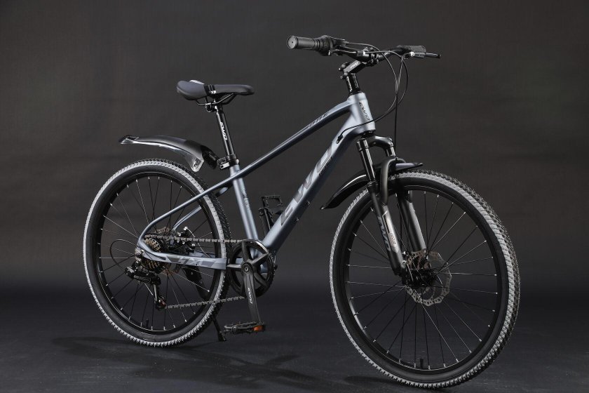 Велосипед EVO ion 24