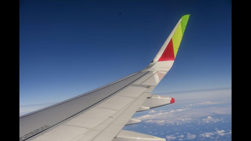 Винглеты и шарклеты