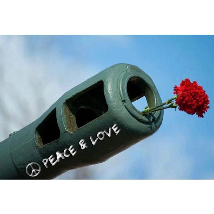 Цветы в дуле танка