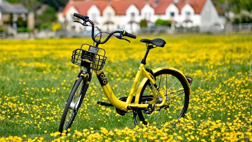 Желтый велосипед
