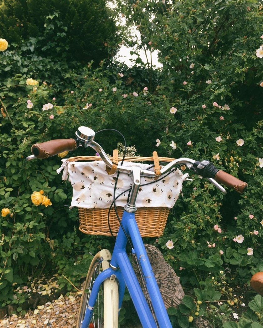 Велосипед лето Эстетика