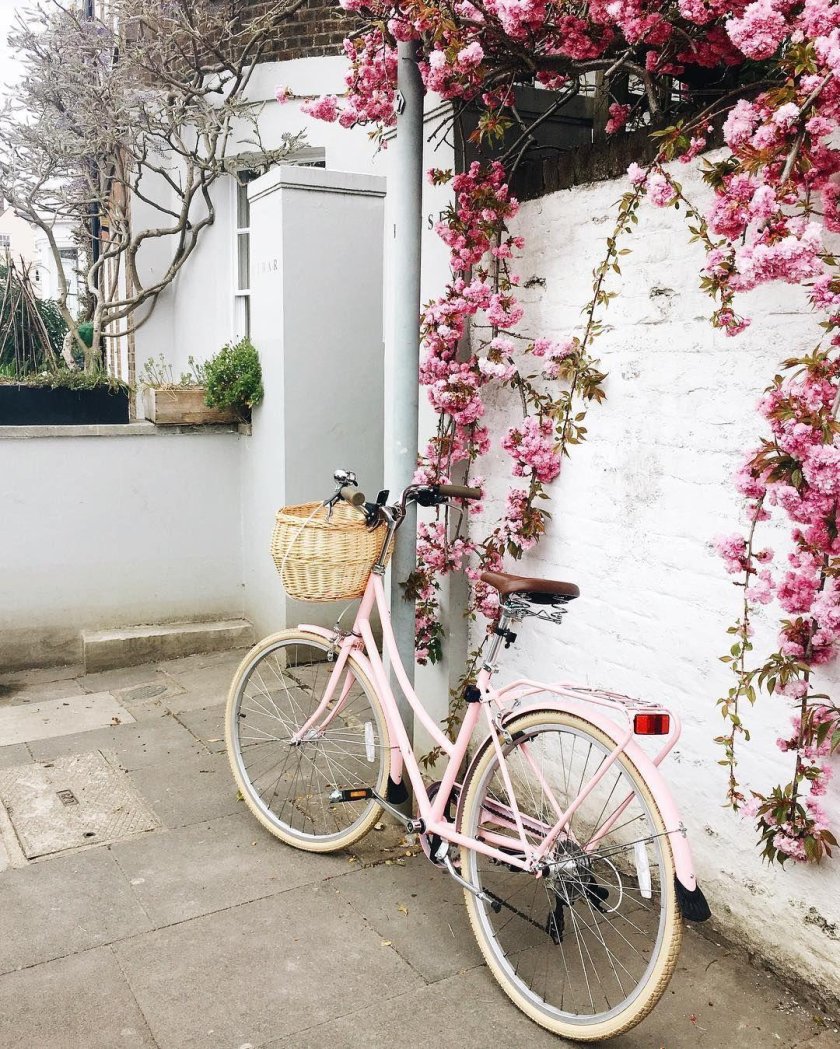 Розовый велосипед