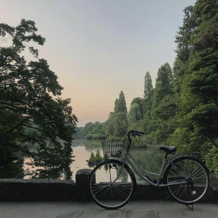 Летний парк Эстетика