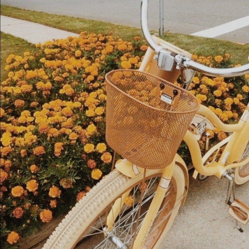 Эстетика желтого